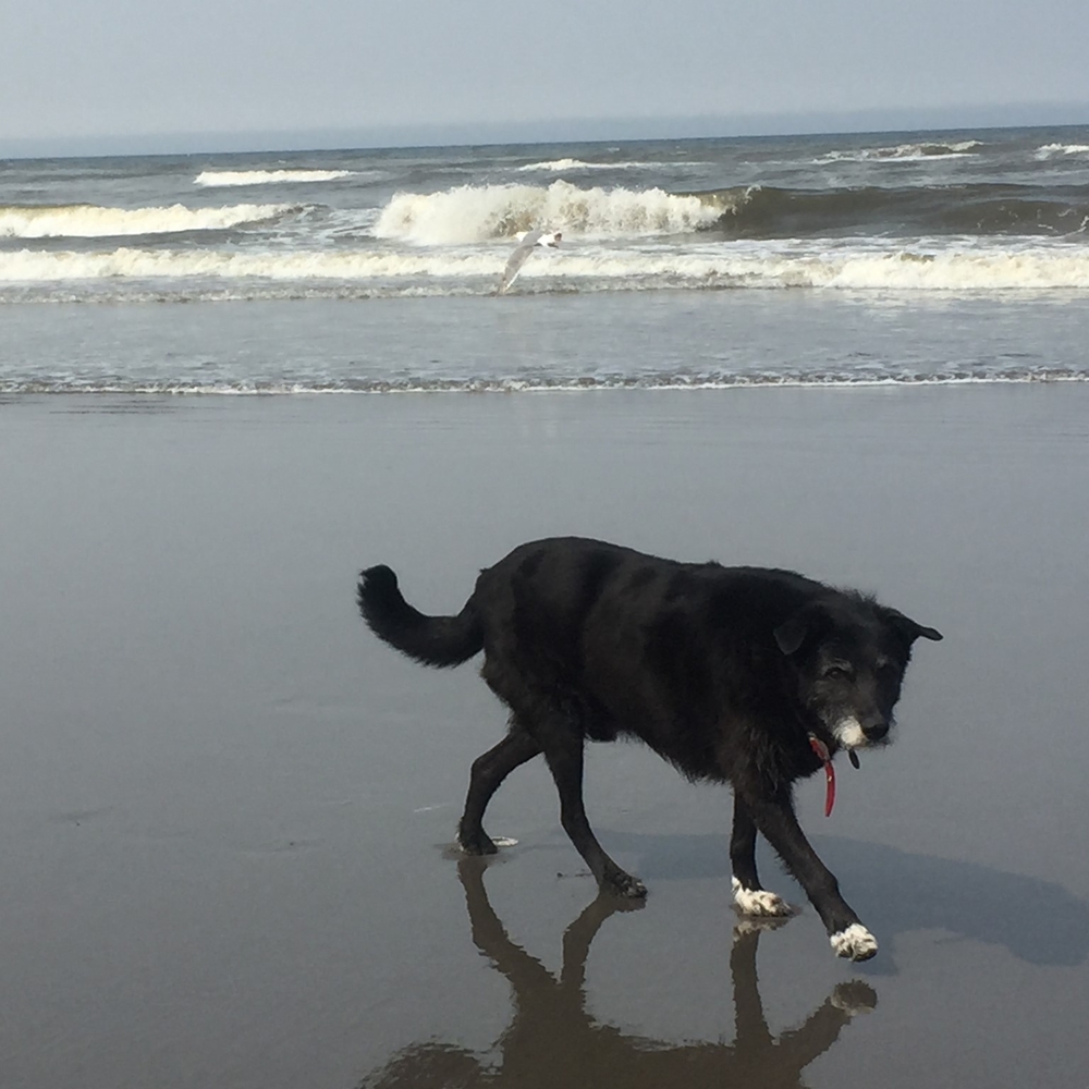 Meet your Posher, Tim